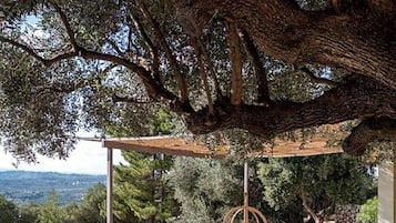 Vila, 5 quartos, sacada, vista para o jardim | Opções para refeição ao ar livre