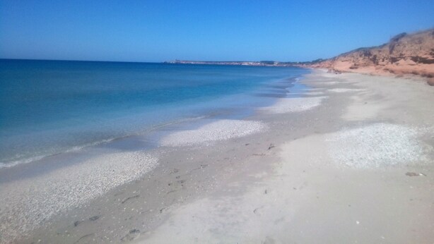 House, Multiple Bedrooms, Smoking, Terrace | Beach - Studio Facing the sea Funtan Meiga (Cabras)