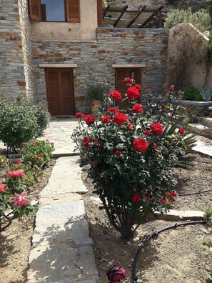 Un bâtiment en pierre avec une porte en bois et un jardin où poussent des roses rouges.