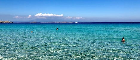 Apartment, 1 Bedroom, Balcony | Beach