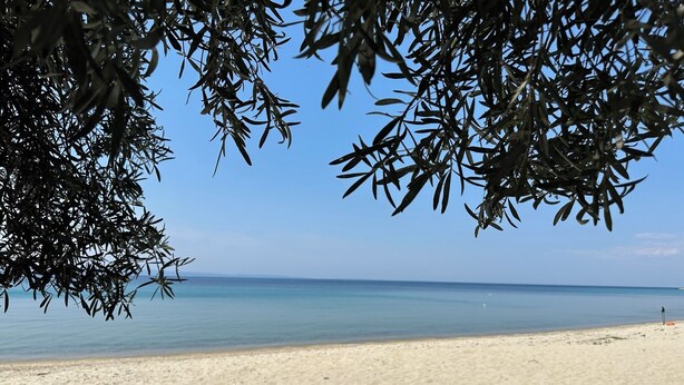 House, 3 Bedrooms, Balcony, Garden View | Pantai