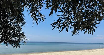 Cozy Dora's Beach House Offers Panoramic Views of Sea!