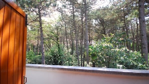 A view from a balcony overlooking a dense forest with tall trees and some undergrowth. - Spacious Villa With Garden by the sea (Lignano Sabbiadoro)