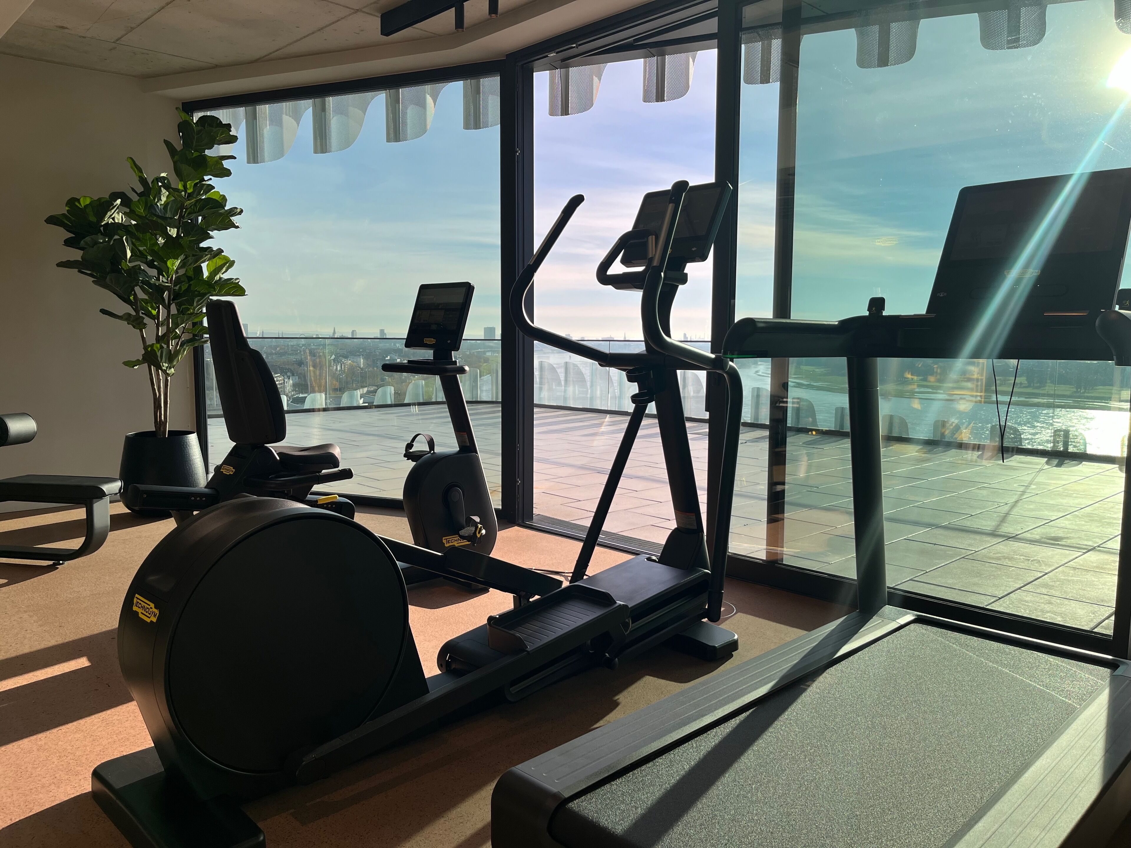 Un gimnasio con equipo de ejercicio, una planta en maceta y vistas a la ciudad a través de amplios ventanales.