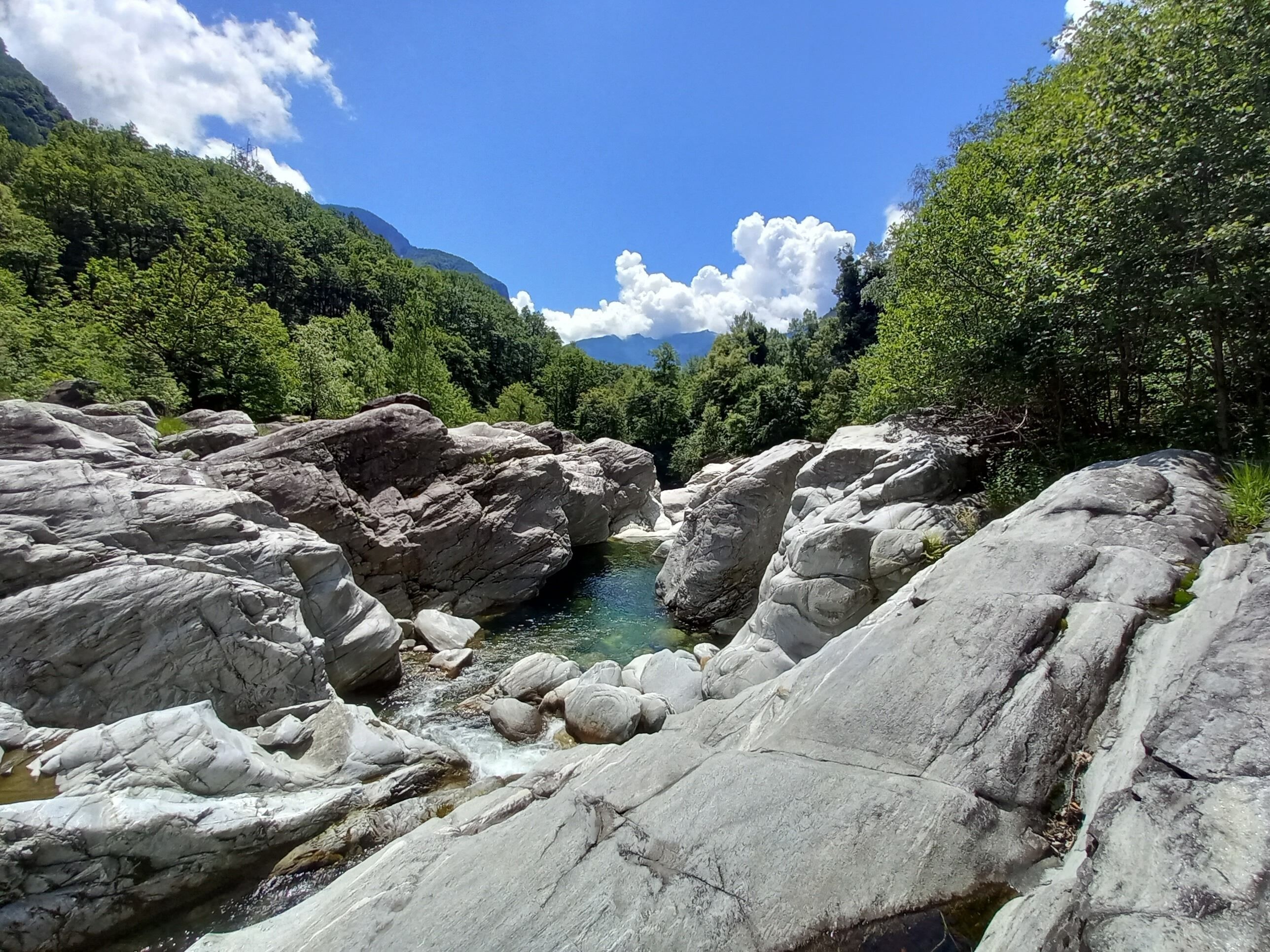 Un lecho fluvial rocoso con agua cristalina, rodeado de un denso bosque verde y montañas.