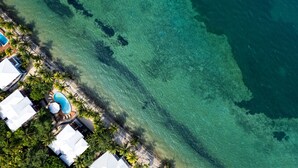 Vue aérienne d’un complexe hôtelier avec une piscine, des palmiers et une vue sur l’océan.