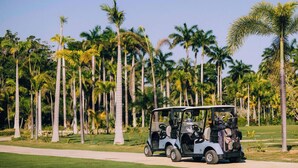 A golf cart on a path with palm trees in the background. - TBS 34A Studio-Garden View-Shared Pool-Beachfront (Placencia)