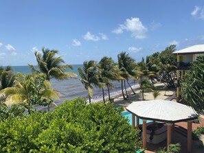 Property grounds - TBS 35B Beach Resort Style Condo-Pool 3rd Floor (Placencia)