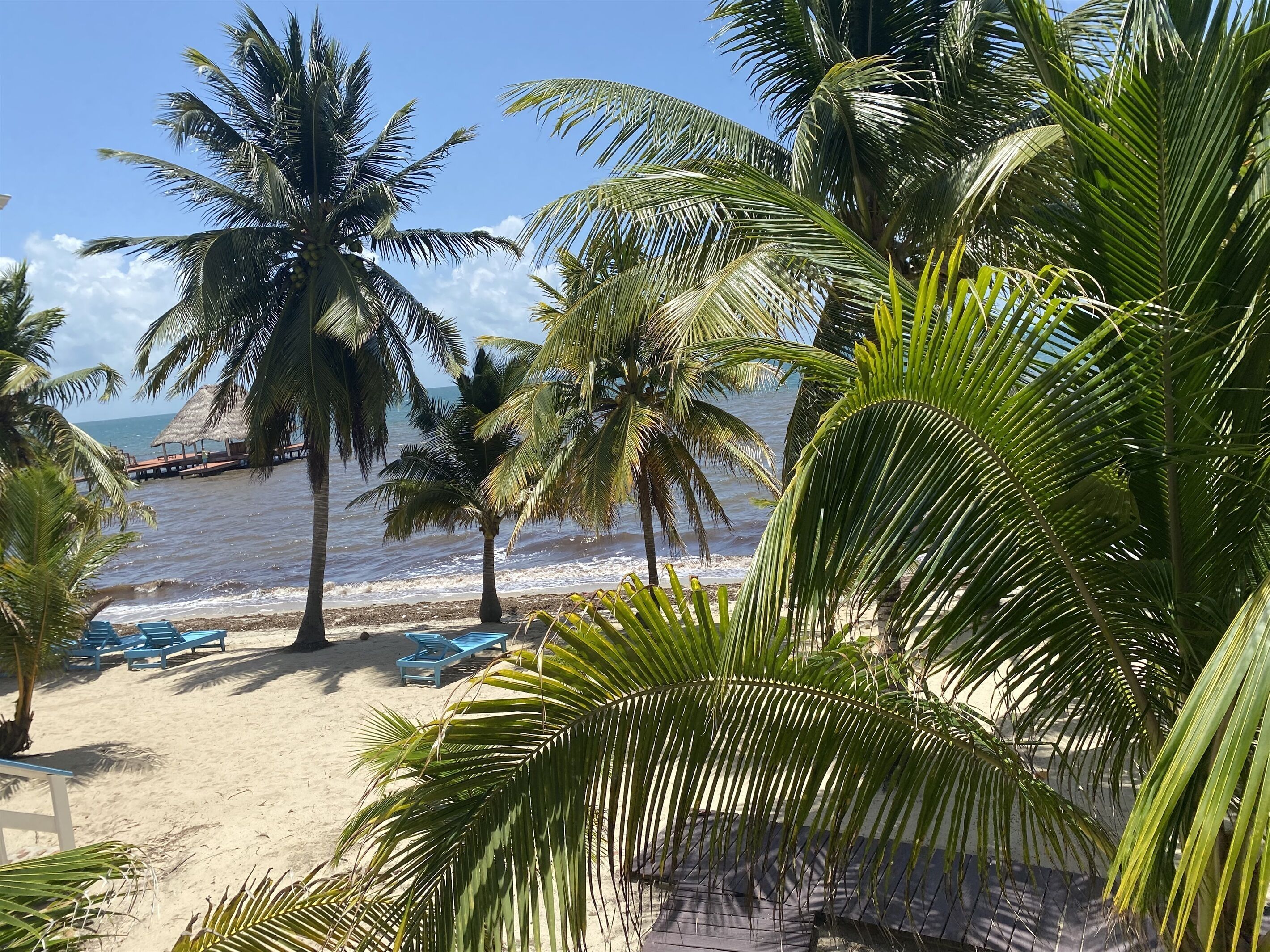 A beach with palm trees, a thatched-roof structure, and blue lounge chairs.