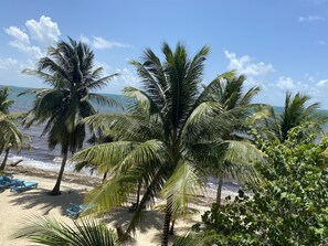 On the beach - TBS 38&39 Beachside-Condo Complex-Pool-6 Bedroom (Placencia)