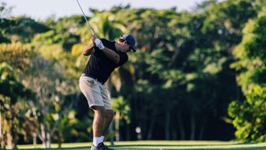Una persona juega al golf en un campo con árboles al fondo.