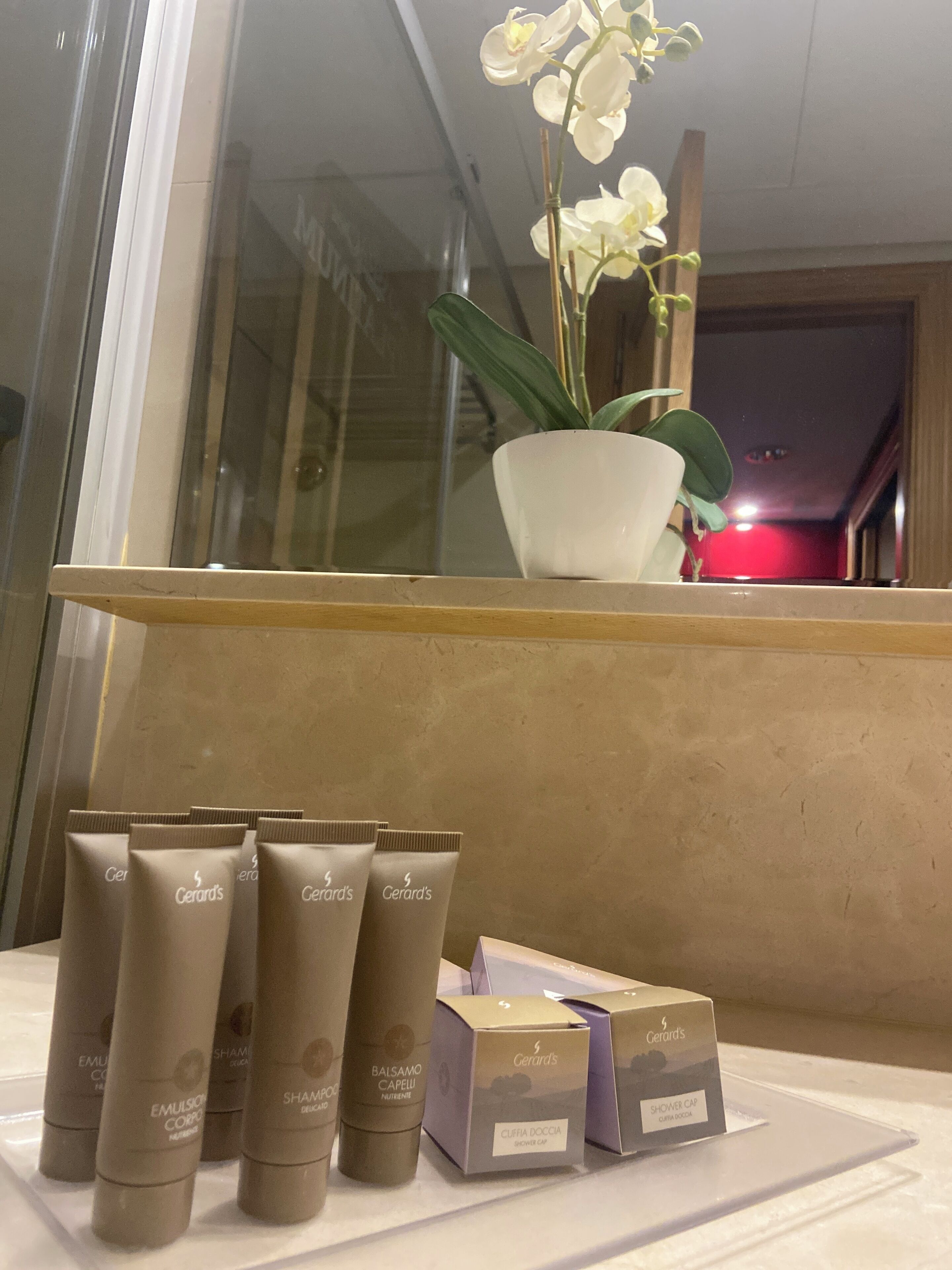 Un meuble-vasque de salle de bain avec des articles de toilette et une orchidée en pot.