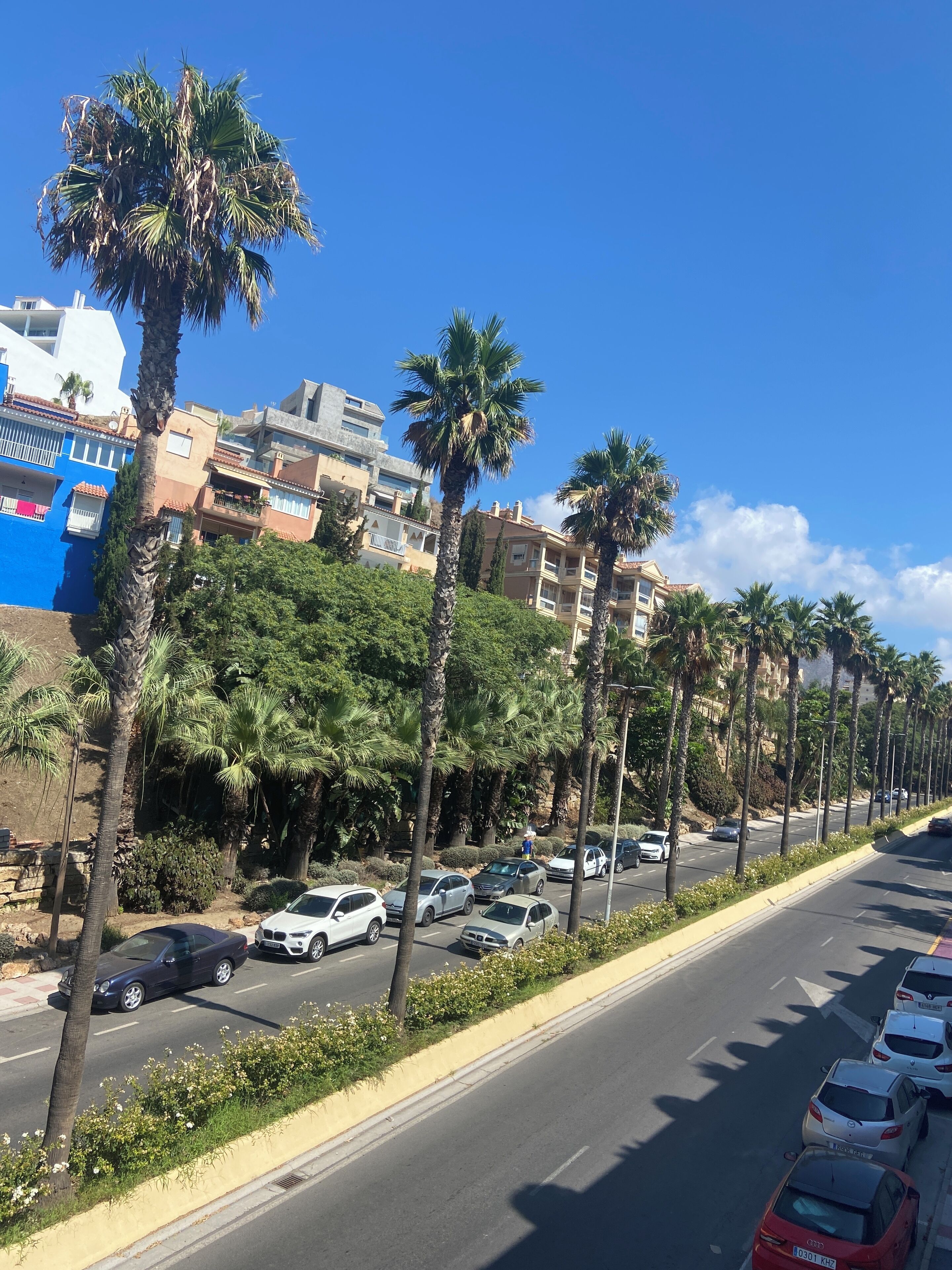 Una strada fiancheggiata da palme e automobili parcheggiate, con edifici sullo sfondo.