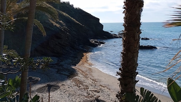 A beach with a rocky cliff, palm trees, and a clear blue sky. - Artplatinum Suites & Apartments (Benalmádena)