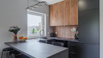 City Apartment | Living area | 50-inch TV with digital channels