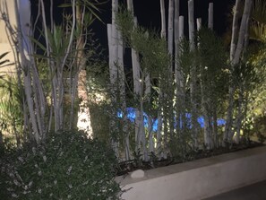 Área da propriedade