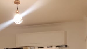 A room with two beds, a window with curtains, a ceiling light, and a small table with a plant. - Luxury apartment near metro (Athina)