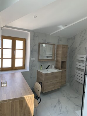 Regadera, secadora de cabello, toallas, papel de baño