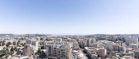 A cityscape with a mix of modern and traditional buildings, a clear sky, and a view of the distant horizon.