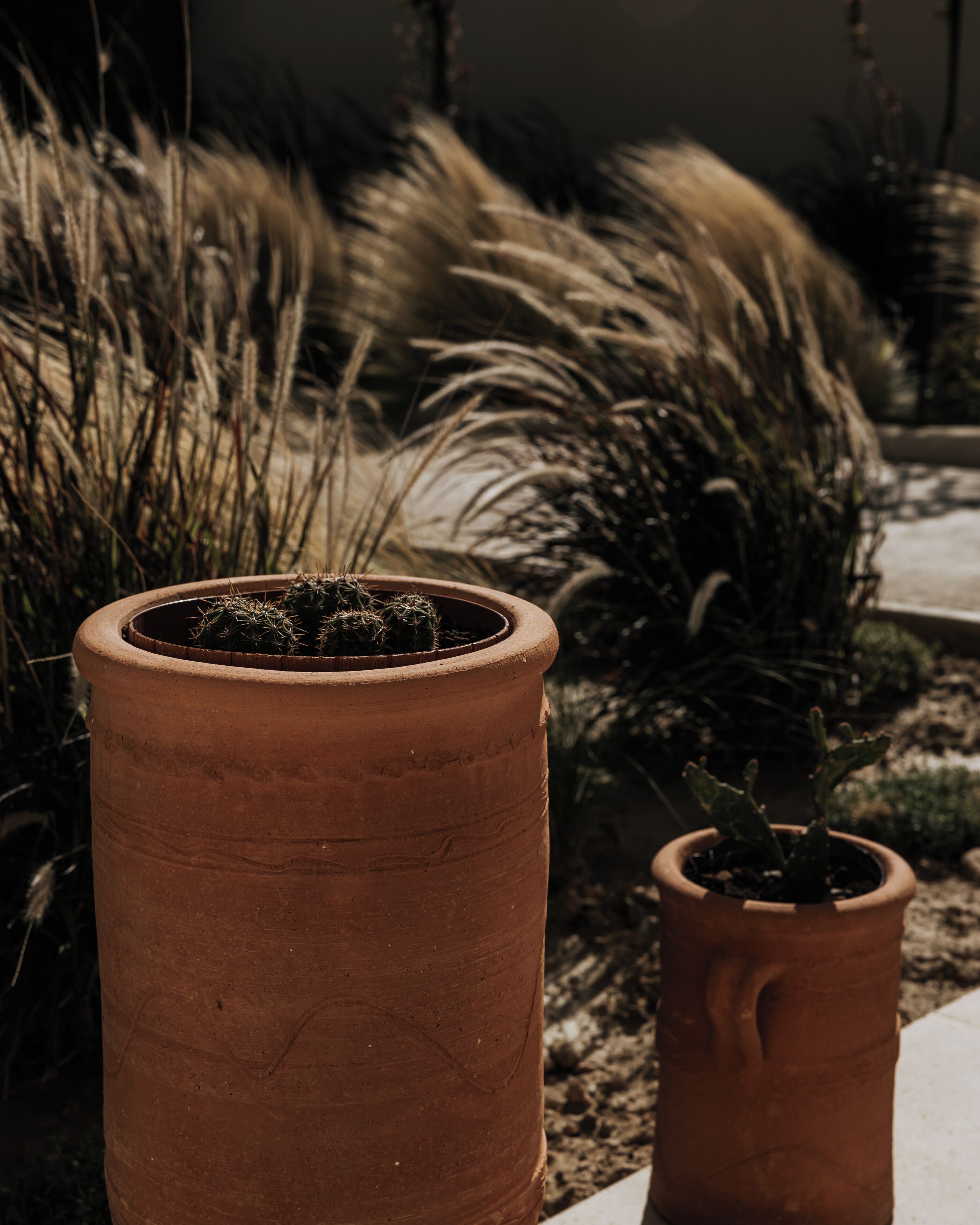 A terracotta pot with a cactus plant and a smaller pot beside it.