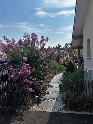 Un sentier bordé de plantes à fleurs violettes et d’une clôture en bois, qui mène à un bâtiment doté d’une fenêtre bien visible.
