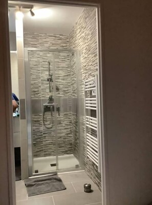 Shower, hair dryer, soap, toilet paper