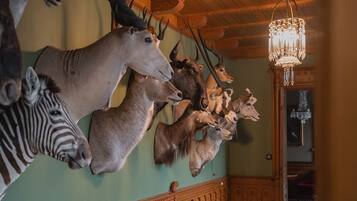 Een kamer met een verzameling aan de muur bevestigde dierenkoppen, een kroonluchter en een houten trap.