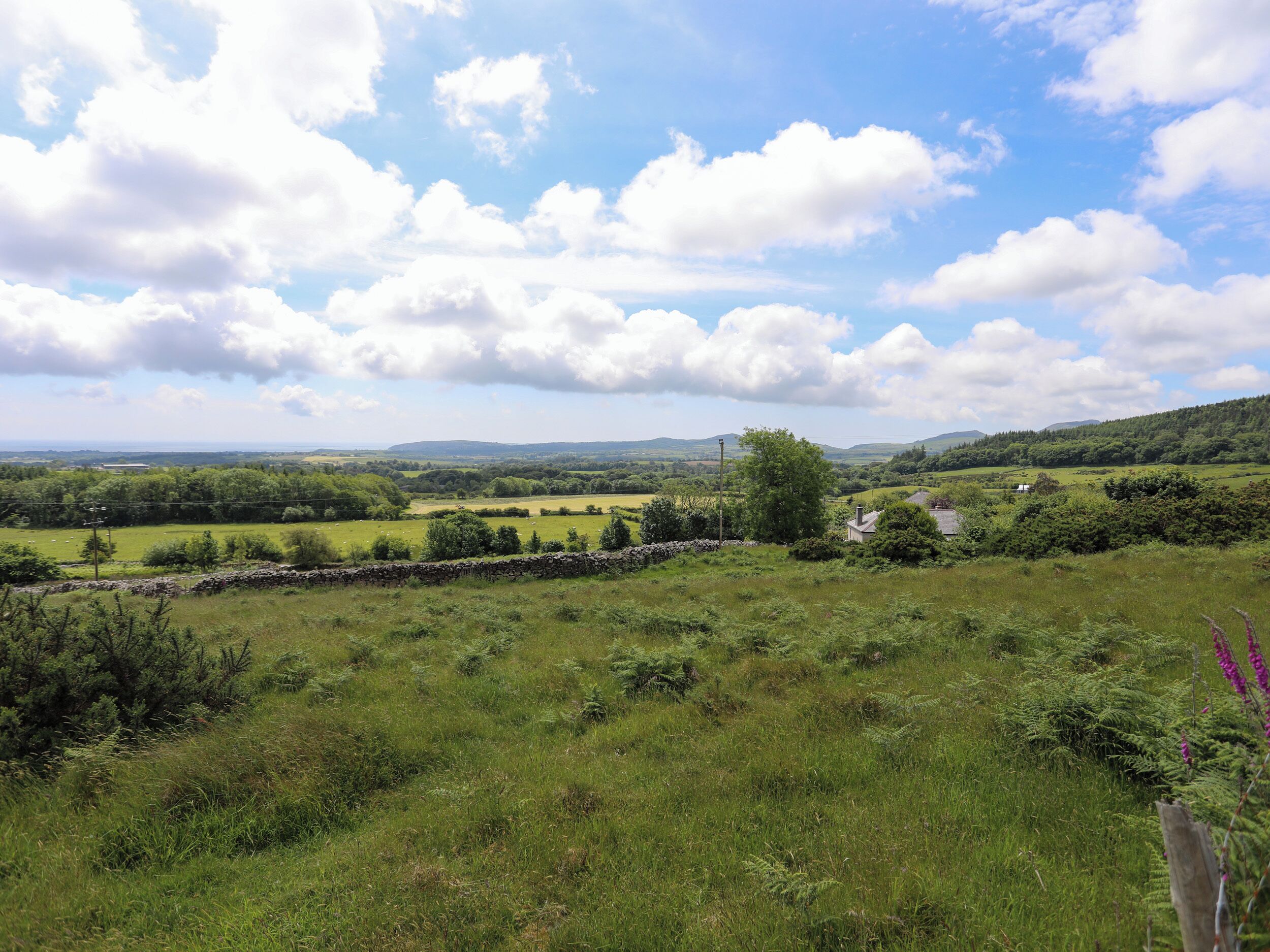 A rural landscape with a stone wall, grassy fields, and a house in the distance.