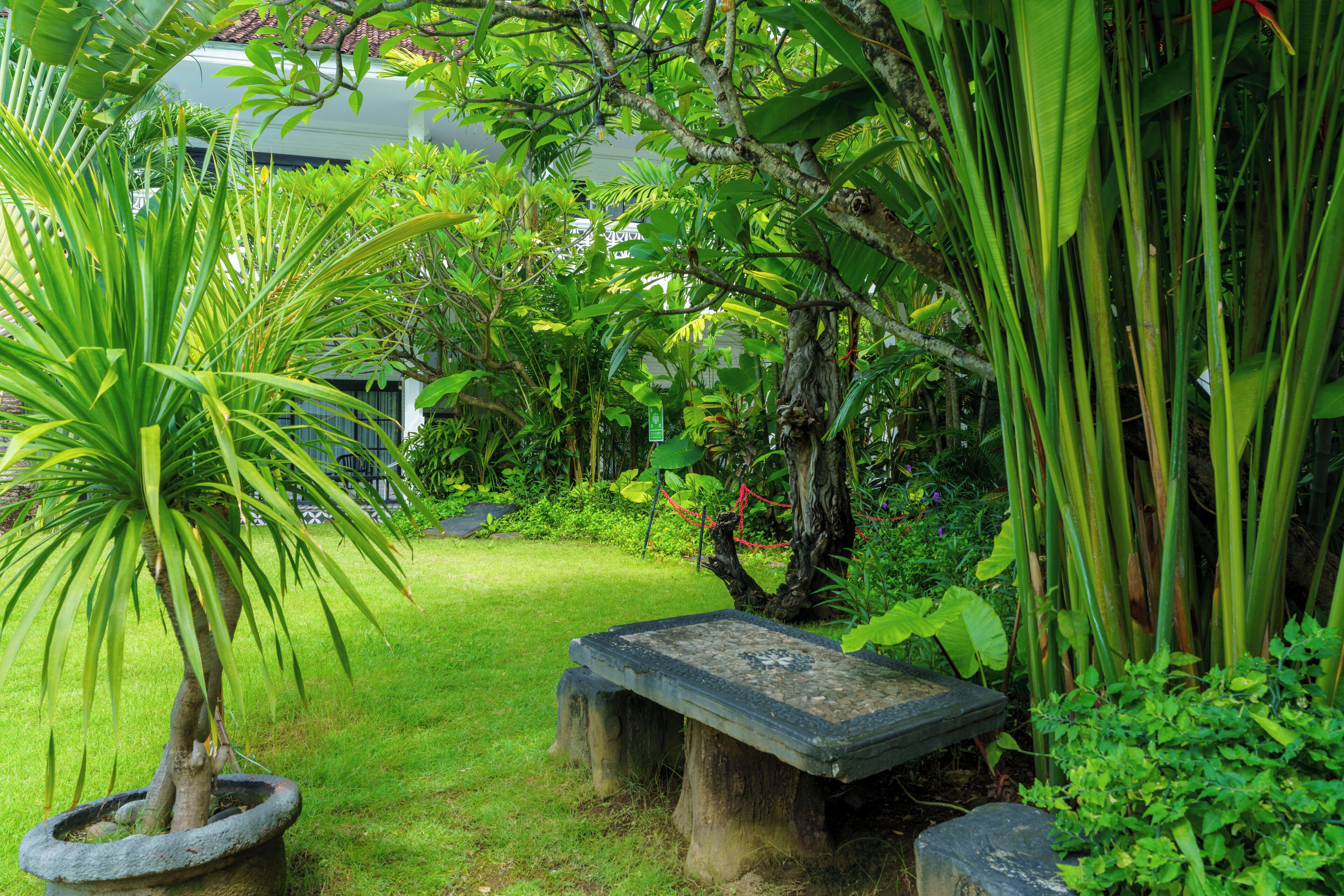 Foto - Casa Wina Kuta by The Wina Resorts