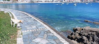 Casa Mirador da Granxa_sanxenxo