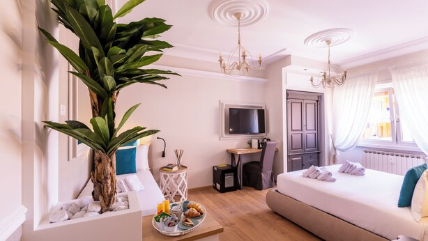 A hotel room with a bed, a desk, a television, a large plant, and a breakfast tray. - Trastevere Paper Suites (Rome)