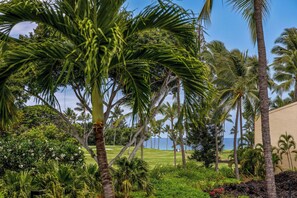 Een weelderig tropisch landschap met palmbomen, een golfbaan en uitzicht op de oceaan.