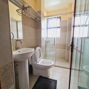 Shower, hair dryer, bidet, towels
