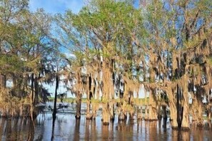 Miscellaneous - The Gator Den at Caddo Lake / Big Lake (Karnack)