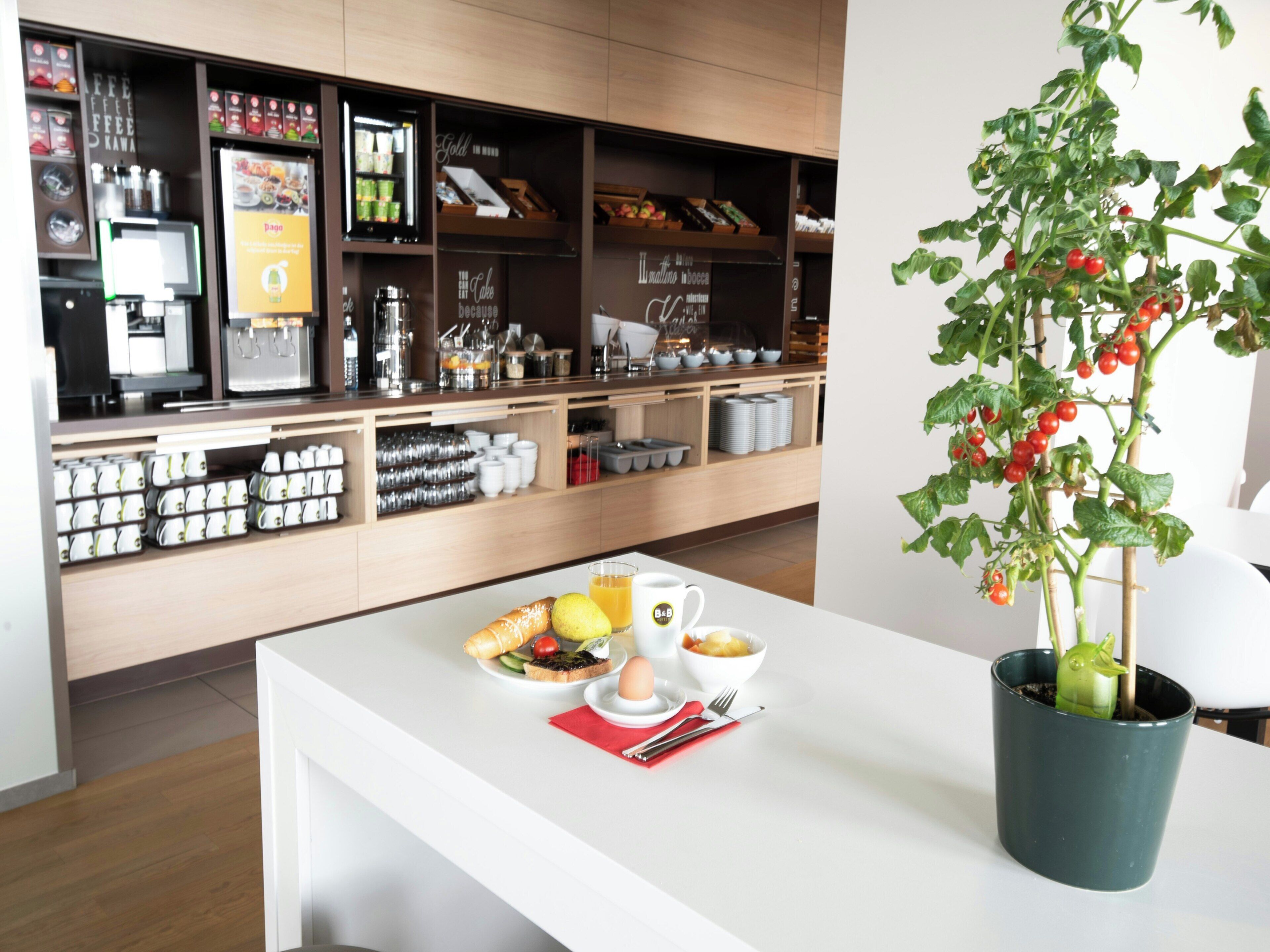 Ein Café mit einer weißen Theke, einer Kaffeemaschine und einem Blumentopf mit Tomaten.