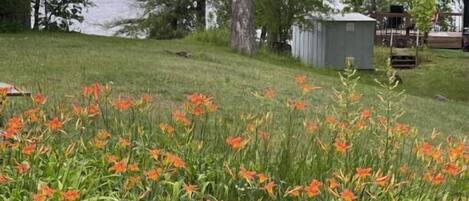 Enceinte de lâhĂ©bergement