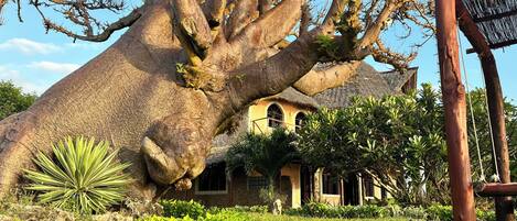 Room, 1 Bedroom, Smoking, Balcony | Exterior