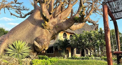 Room in Guest Room - Dolphin Suite 40 m2 in Villa 560 m2, Indian Ocean View