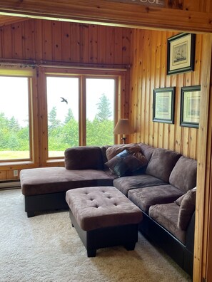 Fireplace, DVD player, books, video library - On the Edge of Fundy Private Cottage Getaway (Centreville)