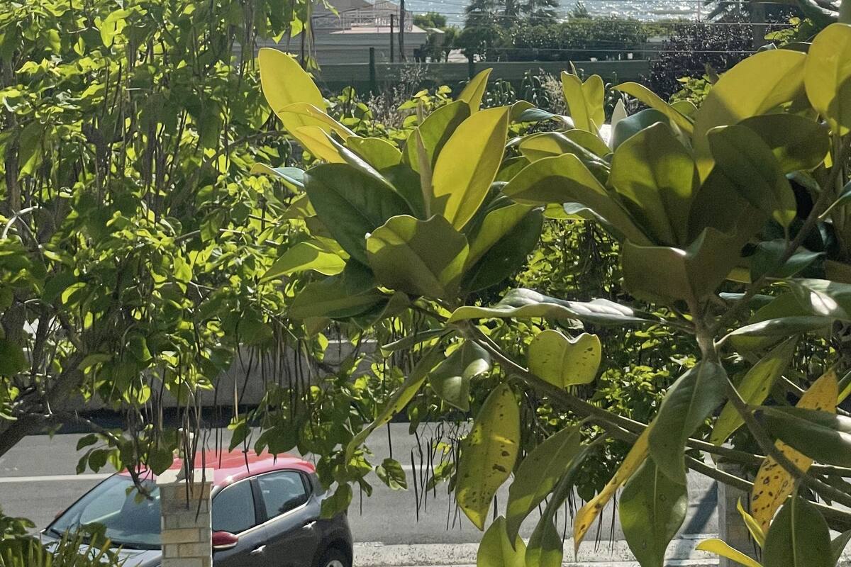 Um edifício com varandas e vista para o mar.