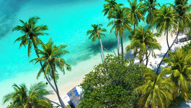 An aerial view of a beach with clear turquoise waters and palm trees. - Ocean Pearl Maldives (Gulhi)