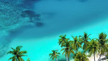 Näkymä rannalle/valtamerelle