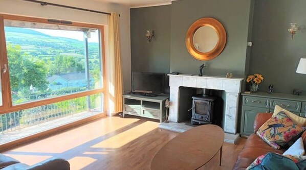 TV, fireplace, books