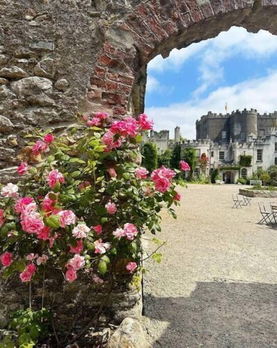 Mountain Paradise in Bunclody Co. Wexford