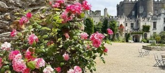 Mountain Paradise in Bunclody Co. Wexford