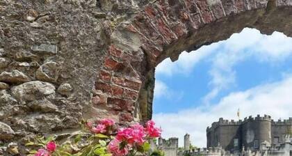 Mountain Paradise in Bunclody Co. Wexford