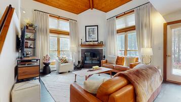 TV, fireplace, DVD player, video library