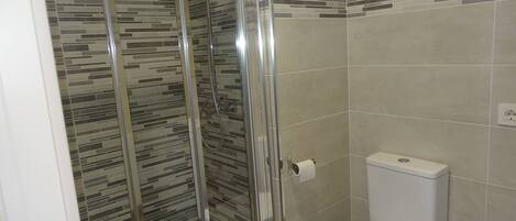 Une salle de bain avec une douche à parois de verre, des toilettes et des murs carrelés.