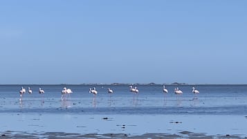 海灘