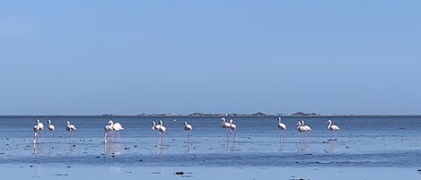 해변